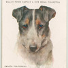 Smooth Fox-Terrier.