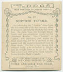Scottish Terrier.