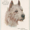West Highland White Terrier.