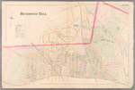 Plate 19: [Bounded by Union Avenue, Hoffman Boulevard, Brooklyn Jamaica Plank Road, Welling Street, Myrtle Avenue, Division Avenue, Oak Street, Williamsburgh and Jamaica Turnpike & Hillside Avenue.]