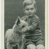 The Cairn terrier
