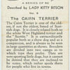 The Cairn terrier
