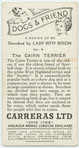 The Cairn terrier