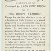 The Irish terrier