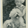 The Maltese