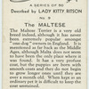 The Maltese