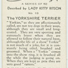 The Yorkshire terrier
