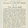 The bull-dog