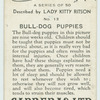 Bull-dog puppies