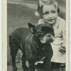The French bull-dog