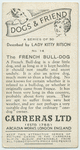 The French bull-dog
