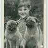The pug