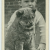The Chow puppy