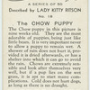 The Chow puppy