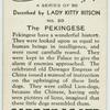 The Pekingese