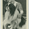 The Japanese spaniel