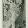The St. Bernard