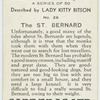 The St. Bernard