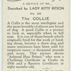 The Collie
