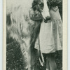 The Borzoi