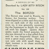 The Borzoi