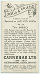 The Borzoi
