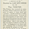 The Pointer