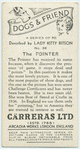 The Pointer