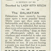 The Dalmatian
