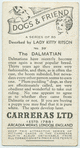 The Dalmatian