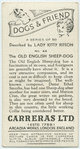 The Old English sheepdog