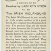 The Irish wolf-hound