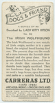 The Irish wolf-hound