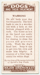 Prince Charles Spaniel - washing.