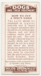Dalmatian - how to cut a dog's nails.
