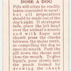 Scotch Terriero - how to dose a dog.
