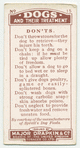 Skye Terrier - don'ts.