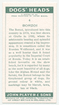 Borzoi.