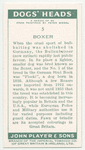 Boxer.