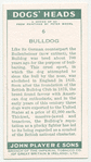 Bulldog.