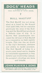 Bull Mastiff.