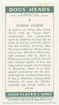 Chow Chow.