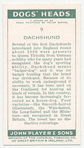 Dachshund.