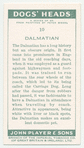 Dalmatian.
