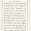 Elkhound.