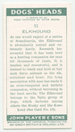 Elkhound.