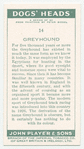 Greyhound.