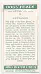 Keeshond.