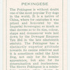 Pekingese.