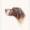 Pointer.